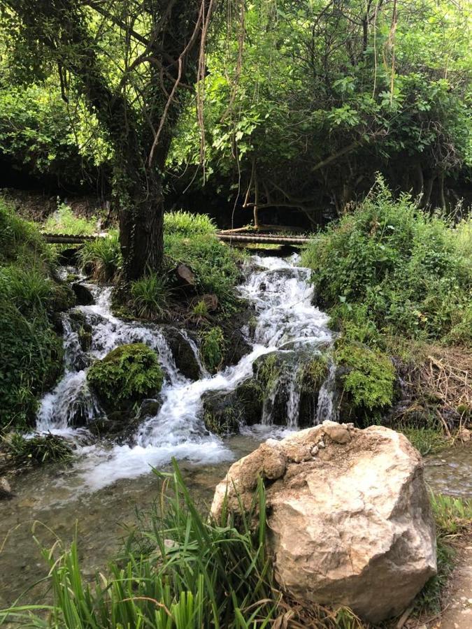 El Almendro De Fuentes Nuevas Villa Castril Dış mekan fotoğraf