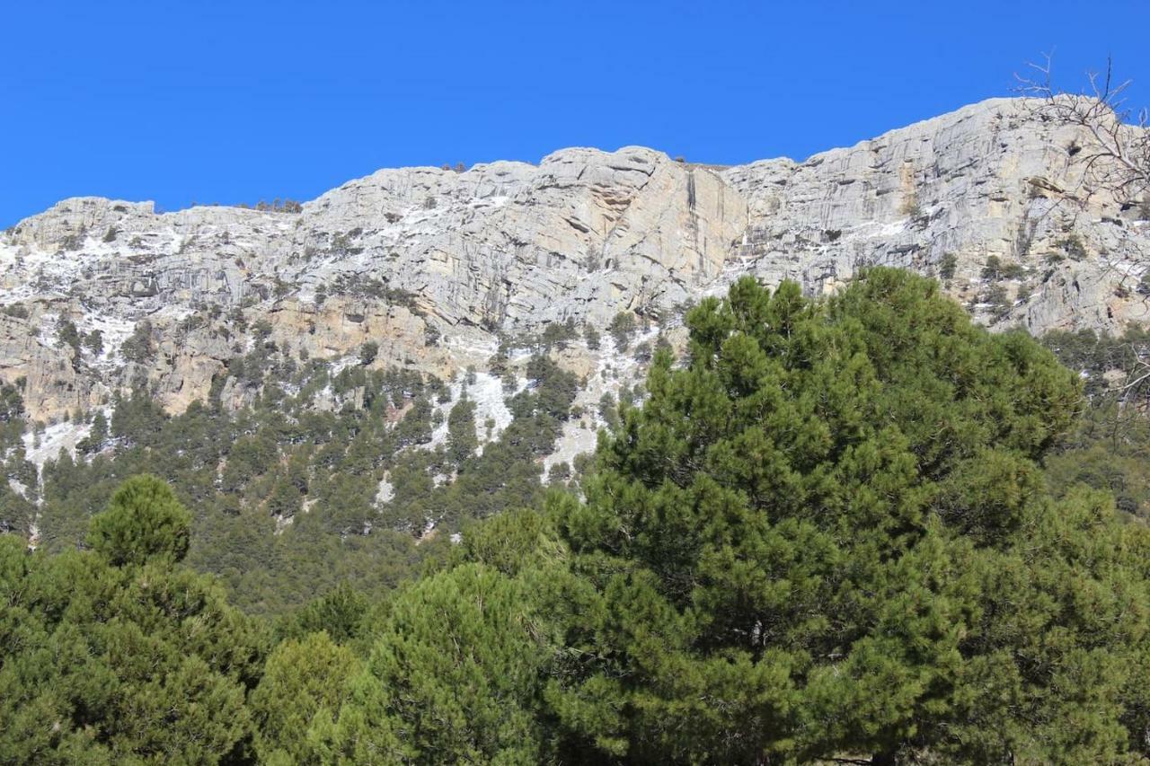 El Almendro De Fuentes Nuevas Villa Castril Dış mekan fotoğraf